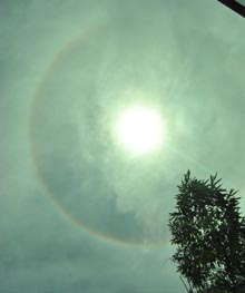 Fenomena Halo Matahari yang terjadi pada Rabu siang (23/03), 
sekitar pukul 12.00 WIT, gambar ini diambil dari daerah Entrop.
