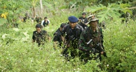 Aparat gabungan TNI/Polri sedang melakukan pencarian dengan 
menjelajahi kawasan hutan di sekitar pegunungan Tanah Hitam yang 
dicurigai sebagai lokasi persembunyian pelaku.