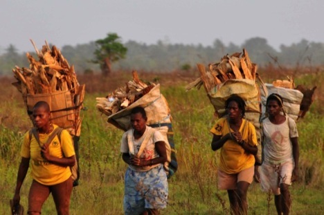 Merauke residents carrying firewood (Photo: Antara)